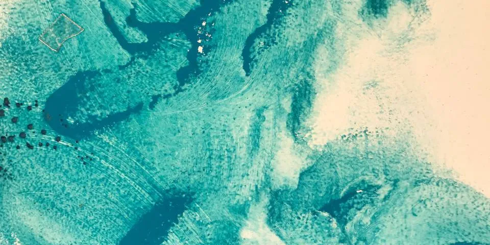 DracSQL vs NocturnaDB: Choosing the Right Database for Your Blood App